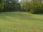 View of Cemetery   