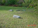 View of Cemetery 